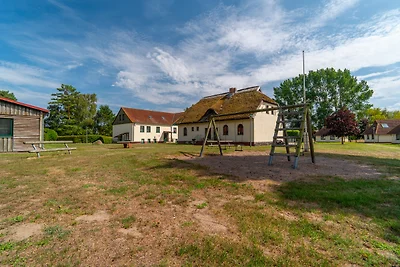 Schwalbennest 3