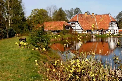 Ferienwohnung Mitreuter