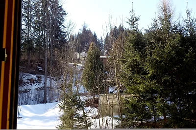 2-Zi-Komfort-Ferienappartement