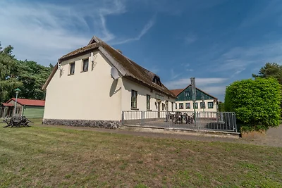 Schwabennest 2
