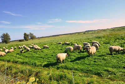 Ferienwohnung Sonnenkliff in Gross