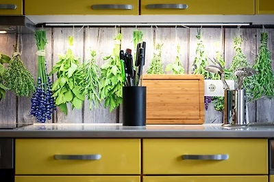 FeWo Fischotter - EG 2