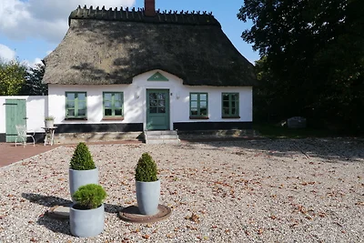 Vakantiehuis Ontspannende vakantie Klappholz