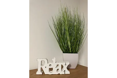 Appartamento Vacanza con famiglia Geestland