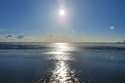 Vakantieappartement Gezinsvakantie Hamswehrum