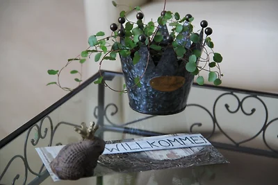 Ferienhof Schoof No.2