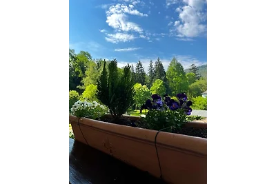 Studio Afrikanische Savanne