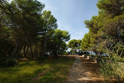 Vakantiehuis Ontspannende vakantie Salerno