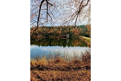 Hahnenklee mit Seeblick 219