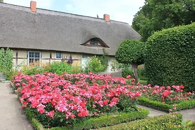 Ferienwohnung Rosengarten am