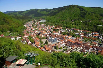 Appartamento Vacanza con famiglia Bad Lauterberg im Harz