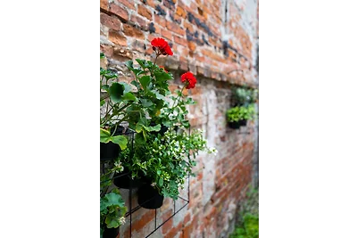 Traumfänger - ABC285