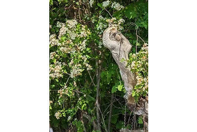 Casa vacanze Vacanza di relax Stuer