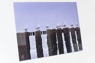 Ferienwohnung Haus Boje