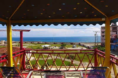 CASA DIOVANY HORIZONTES Appartement