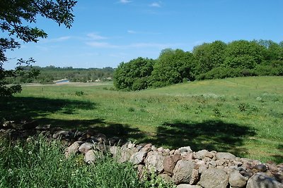 Vakantieappartement Gezinsvakantie Ahrenshagen-Daskow