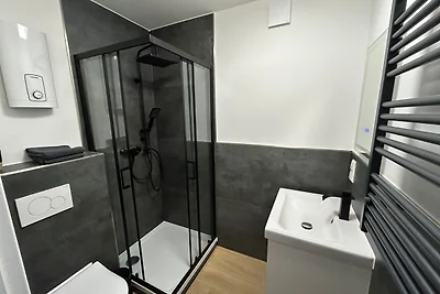 RheinSchatz Apartments 6