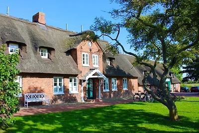 Vakantieappartement Gezinsvakantie Wrixum