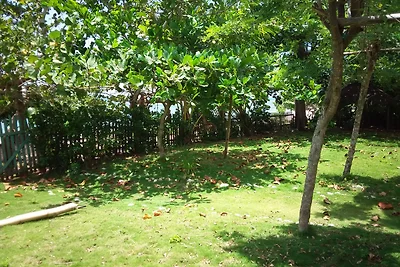 CASA EMILIANO. MANGLITO BEACH