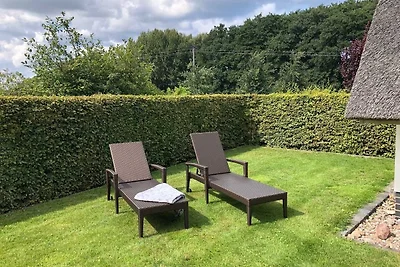 Ferienhaus Strandgut mit Sauna