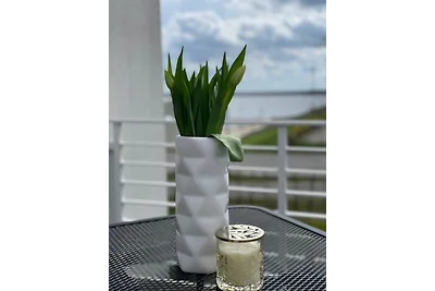 Vakantieappartement Gezinsvakantie Großräschen