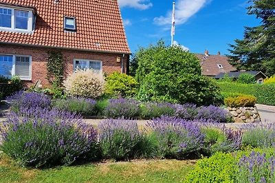 Apartamento Vacaciones familiares Busdorf