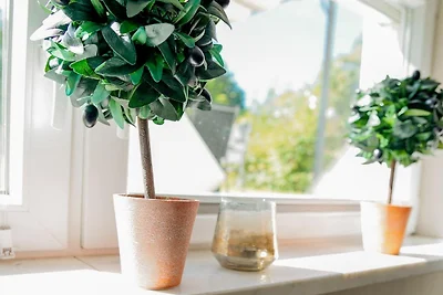 Ferienwohnung Fuchsbau