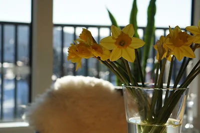 Appartamento Vacanza con famiglia Sankt Andreasberg