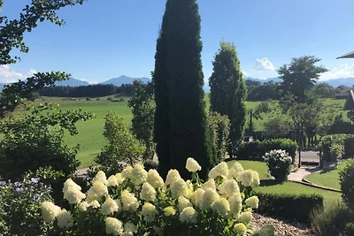Appartamento Vacanza con famiglia Nußdorf am Attersee