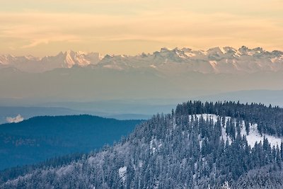 Appartamento Vacanza con famiglia Feldberg