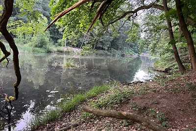 Waldfloss Biberspur