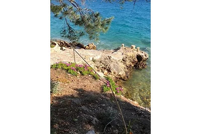 Vakantieappartement Gezinsvakantie Drage