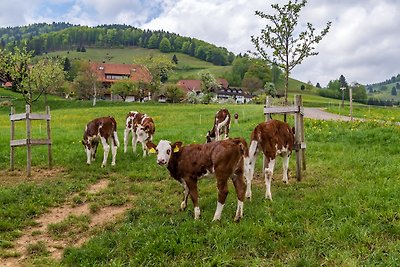 Vakantieappartement Gezinsvakantie Lörrach