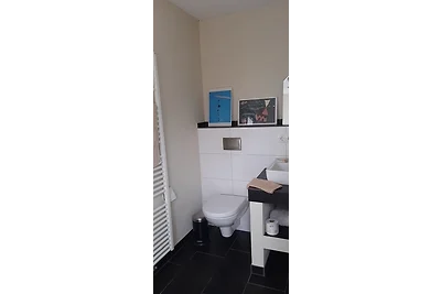 Blaues Haus-Urlaub mit Alpakas oder