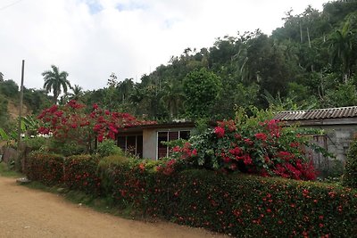 BUNGALOW MAJAYARA PARADISE