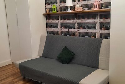 Apartment-studio for 5 guests