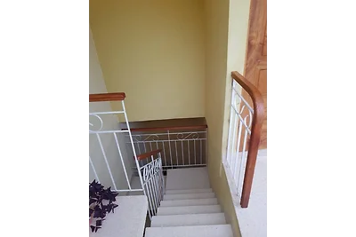Amiga del Mundo Appartement 1