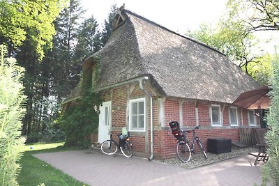 Ferienhof Bockelmann - Stühbusch