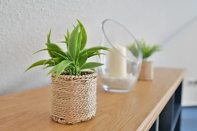 Appartamento Vacanza con famiglia Kellenhusen