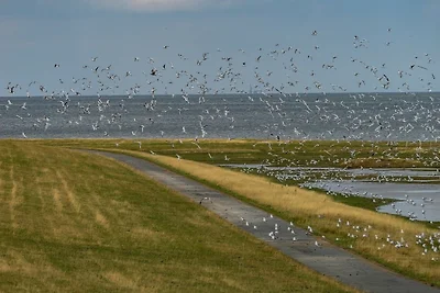 Küstenperle Nordsee mit Balkon und