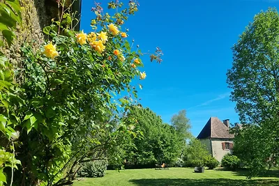 Vakantieappartement Gezinsvakantie Busserolles