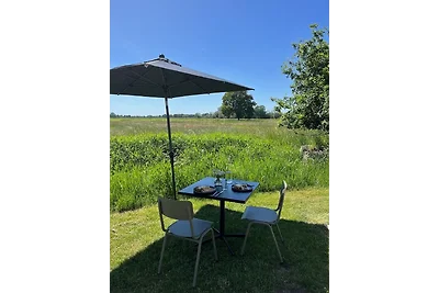 (104) Tinyhouse mit Wiesenblick