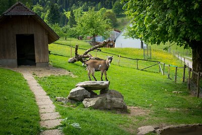 Appartamento Vacanza con famiglia Oberried