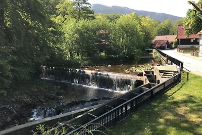 Vakantiehuis Ontspannende vakantie Ilsenburg