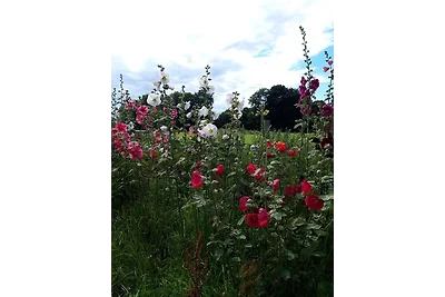 Hof Rüsch - FeWo Bökenacker