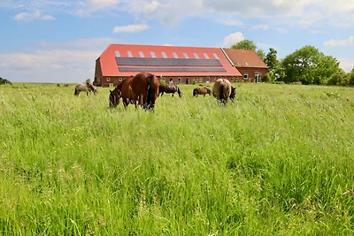 Sömmertied, Exklusive