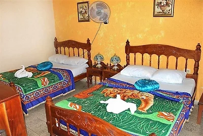 Casa Patricio Appartement 2