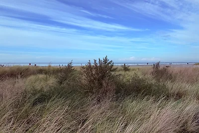 Ferienhaus Seerrobbe