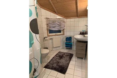 Gepflegtes Ferienhaus am Dankernsee