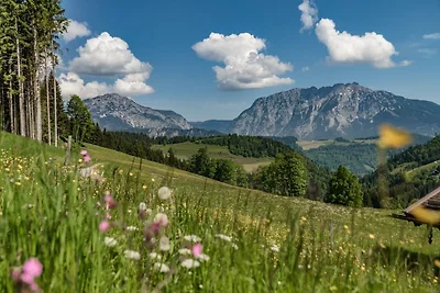 Hüttenurlaub mit Hund und Sauna